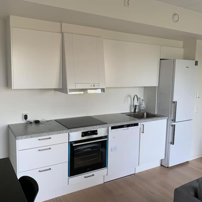 Scandpoint Apartment Fornebu Near Sea Front With Outdoor Walk! Stabekk Exterior foto